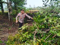 Rumah Warga Tertimpa Pohon, Polisi Bantu Evakuasi