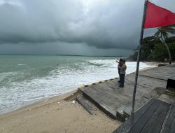 Buaya Muncul di Pesisir Pantai Teluk Bakau, Polisi Himbau Warga Waspada