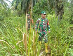 Jaga Kelestarian RTH, Koramil Mandau Giat Patroli
