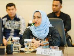 Audiensi dengan Menko Perekonomian, Bupati Bengkalis Dorong Tiga Usulan Strategis untuk Percepatan Pembangunan