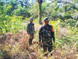 Jajaran Koramil Mandau Giat Patroli di Kawasan Rawan Terbakar