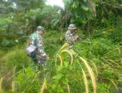 Jaga Kelestarian Lahan dan Hutan, Koramil Mandau Giat Patroli