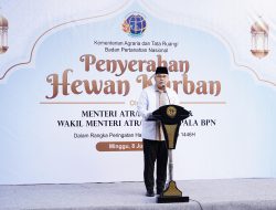 Iduladha, Kementerian ATR BPN Qurban 80 Sapi dan 19 Kambing Momentum Berbagi Sesama