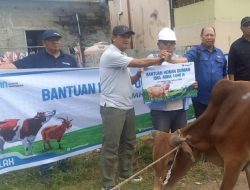 Iduladha 1446 H, PWI Karimun Berqurban Satu Ekor Sapi di Mesjid Alfalah Sei. Pasir Karimun