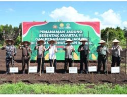 Wujudkan Swasembada Pangan, Pemkab Bengkalis Tanam Jagung di Kampung Tangguh