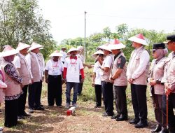 Pemasangan Patok Bisa Tandai Batas Tanah APL dengan Non-APL, Menteri Nusron Ungkap Cara Selain Menghindari Konflik
