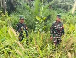Antisipasi Karlahut, Jajaran Koramil Mandau Giat Patroli