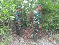 Jaga Kelestarian Hutan, Koramil Mandau Gelar Patroli