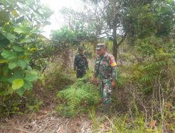 Koramil Mandau Giat Patroli Pantau Kawasan Rawan Terbakar