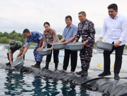 Dukungan Ketahanan Pangan, Lanal Bintan Lakukan Budidaya Bibit Udang Vaname