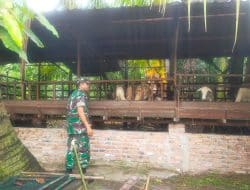 Babinsa Kesumbo Ampai Pantau Ternak Milik Warga Cegah PMK