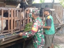 Pantau Ternak Milik Warga, Ini Harapan Serda Zulkarnain